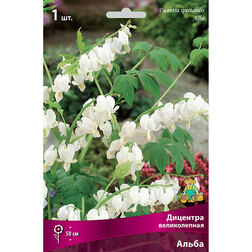 ����  �������� ������������ �����, ������ �� 370 ���