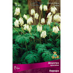 ����  �������� �������� ������, ������ �� 428 ���