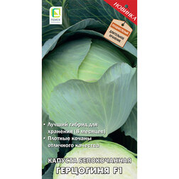 ����  ������� ������������ ��������� F1, ������ �� 30 ���