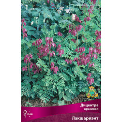 ����  �������� �������� ����������, ������ �� 438 ���