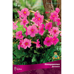 ����  ����������� ������� (3 ��.), ������ �� 394 ���