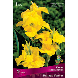 ����  ����� ������������� ������ ������, ������ �� 314 ���