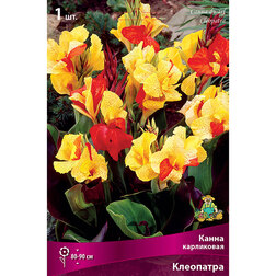 ����  ����� ���������� ���������, ������ �� 326 ���