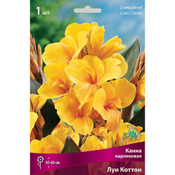 ����  ����� ���������� ��� ������, ������ �� 348 ���