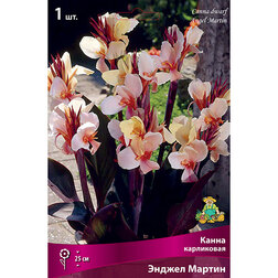 ����  ����� ���������� ������ ������, ������ �� 348 ���