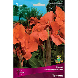 ����  ����� ���������������� ������, ������ �� 348 ���