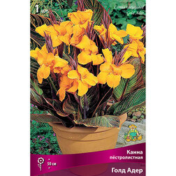 ����  ����� ������������� ���� ����, ������ �� 416 ���