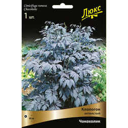 ����  �������� ��������� ���������, ������ �� 997 ���