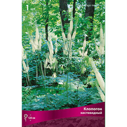 ����  �������� �����������, ������ �� 535 ���