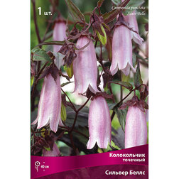 ����  ����������� �������� ������� �����, ������ �� 606 ���