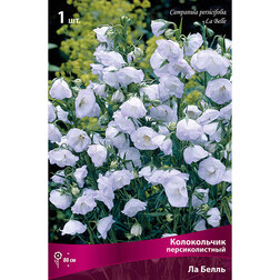 ����  ����������� �������������� �� �����, ������ �� 676 ���