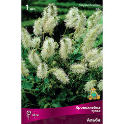 ����  ����������� ����� �����, ������ �� 501 ���