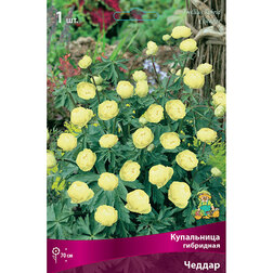 ����  ���������� ��������� ������, ������ �� 566 ���