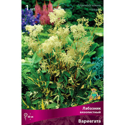 ����  �������� ����������� ���������, ������ �� 382 ���