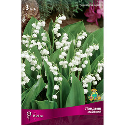 ����  ������ �������, ������ �� 467 ���