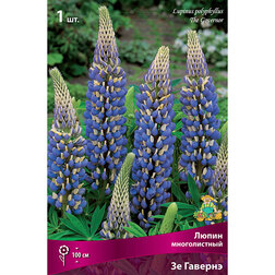 ����  ����� ������������ �� �������, ������ �� 217 ���