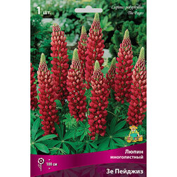 ����  ����� ������������ �� �������, ������ �� 217 ���