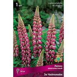 ����  ����� ������������ �� ���������, ������ �� 217 ���