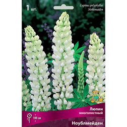 ����  ����� ������������ �����������, ������ �� 217 ���