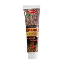 ����  ������ (������� �������) 250 � ���� (�/���������� ���), ������ �� 450 ���