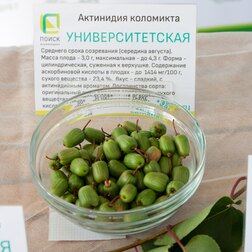 ����  ��������� ��������� ���������������, ������ �� 519 ���