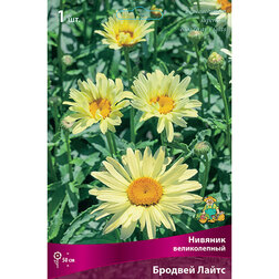 ����  ������� ������������ ������� �����, ������ �� 513 ���