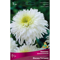 ����  ������� ������������ ����� �������, ������ �� 467 ���