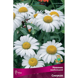 ����  ������� ���������� �������, ������ �� 433 ���