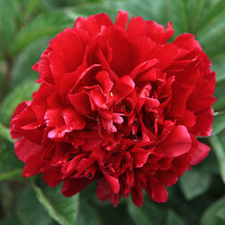 ����  ���� ����������� ������ �����, ������ �� 629 ���