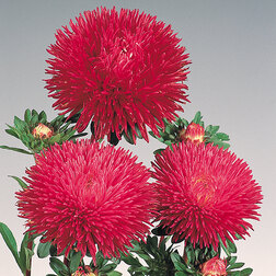 ����  ����� ���� �������� (1 ��-1000��) ���������������� ������, ������ �� 2400 ���