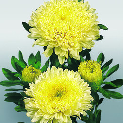 ����  ����� ������� ����� (1 ��- 1000��) ���������������� ������, ������ �� 2560 ���