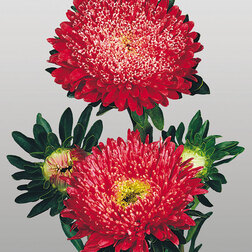 ����  ����� ������� ����� ��� (1 ��- 1000��) ���������������� ������, ������ �� 2560 ���