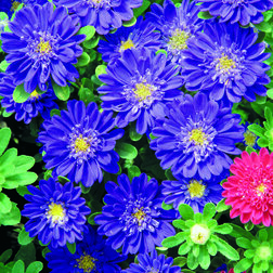 ����  ����� ��� ��� ��� (1��-1000��) ���������������� ������, ������ �� 1920 ���