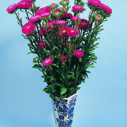 ����  ����� ��� ��� ���� (1��-1000��) ���������������� ������, ������ �� 1920 ���