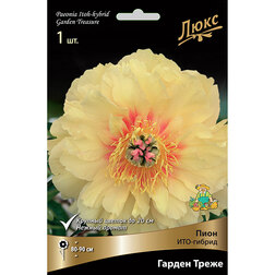 ����  ����� ���-������ ������ �����* (2-3 �����), ������ �� 2235 ���