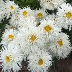 ����  ������� �������� ������ ����� (1��-250��) ���������������� ������, ������ �� 880 ���