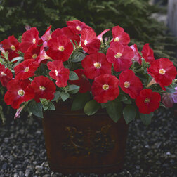 ����  ������� ��������� �������� ������� (1��-100��) ���������������� ������, ������ �� 2560 ���