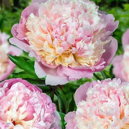 ����  ���� ���������������� ����� ����, ������ �� 714 ���