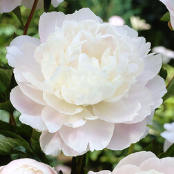 ����  ���� ����������� ��������, ������ �� 943 ���