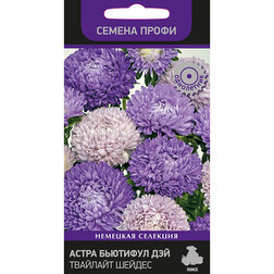 ����  ����� �������� ��� �������� ������ (������ �����), ������ �� 37 ���