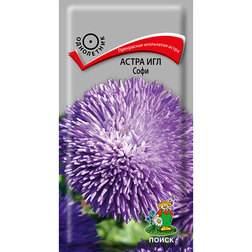 ����  ����� ��� ����, ������ �� 26 ���