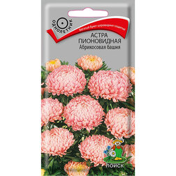 ����  ����� ����������� ����������� �����, ������ �� 26 ���