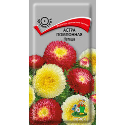 ����  ����� ��������� ������, ������ �� 26 ���