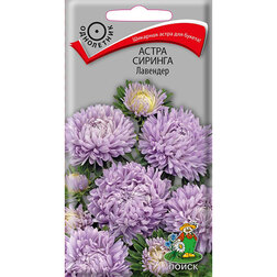 ����  ����� ������� �������� ( (���� ������. �� ����� 2024 �), ������ �� 36 ���