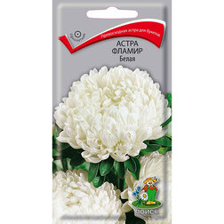 ����  ����� ������ �����, ������ �� 26 ���