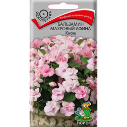 ����  ��������� �������� ����� �����, ������ �� 118 ���