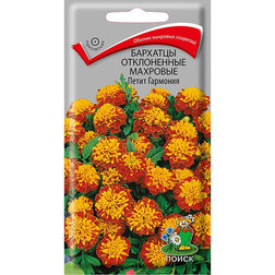 ����  �������� ����������� �������� ����� ��������, ������ �� 26 ���