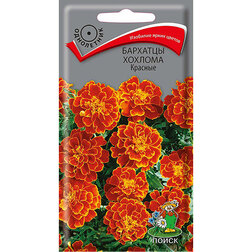 ����  �������� ������� �������, ������ �� 38 ���