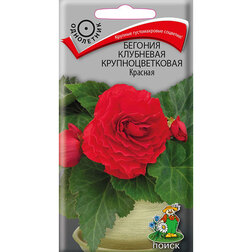 ����  ������� ��������� ��������������� �������, ������ �� 36 ���