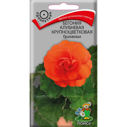 ����  ������� ��������� ��������������� ���������, ������ �� 36 ���